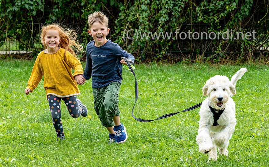 Fotostudio Matthias Nordmeyer - Ihr Partner für kreative und professionelle Kindergarten- und Schulfotografie aus Hameln